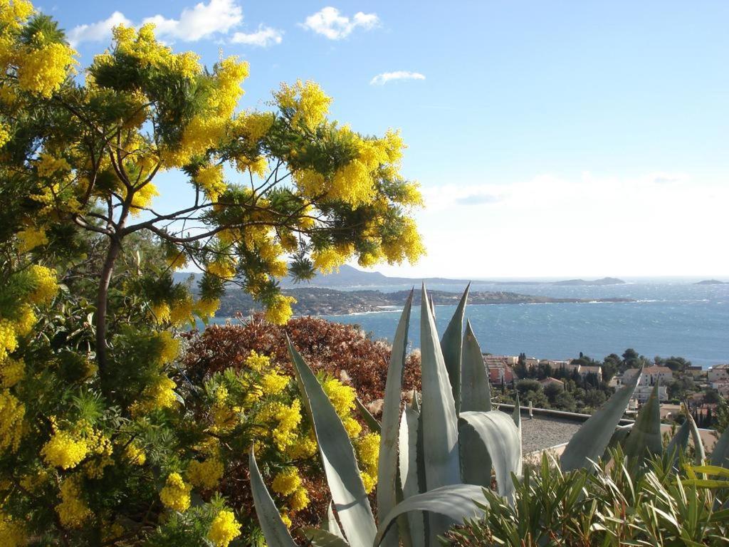 T2 Bandol Ideal Vacances 2 Etoiles Exteriör bild